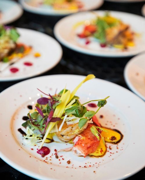 Colorful plated dishes arranged for service